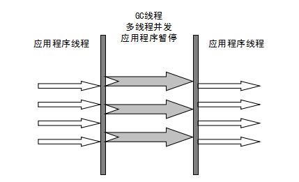 ParNew 收集器 
